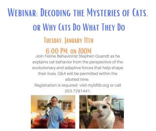 Decoding the Mysteries of Cats 
