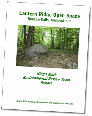 Environmental Review Reports
